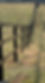 equine black.png