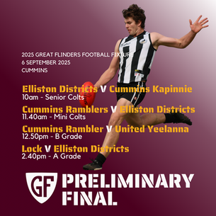 2025 GFFL Preliminary Final Preview at Cummins