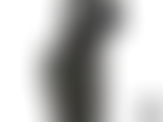 Coldre Tomahawk 2R/3R
