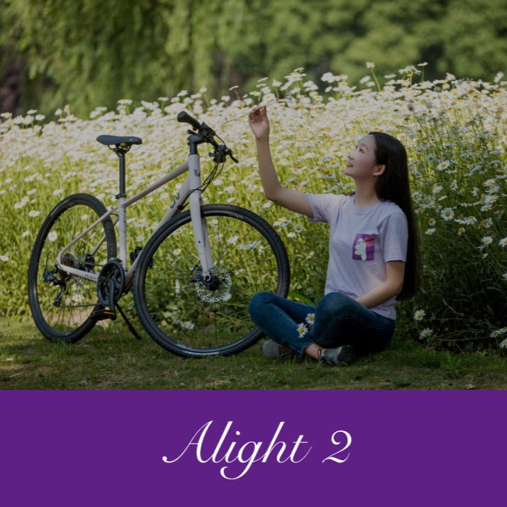 Thumbnail: Giant Liv Alight 2 Women's Shimano Disc Brake Hybrid Bike