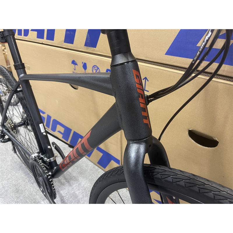 Thumbnail: Giant Escape 2 2022 Shimano Disc Brake Hybrid Bike