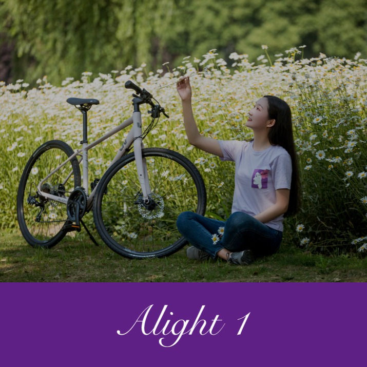 Thumbnail: Giant Liv Alight 1 Shimano 24 Speed Hydraulic Disc Hybrid Bike