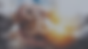 IDEAL SOCIAL BANNER SITE_!.png