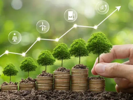 Learn about the importance of private investments in the fight against climate change!