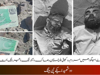 Pakistan cannot hide its war crimes by killing missing persons outside its borders: BNM