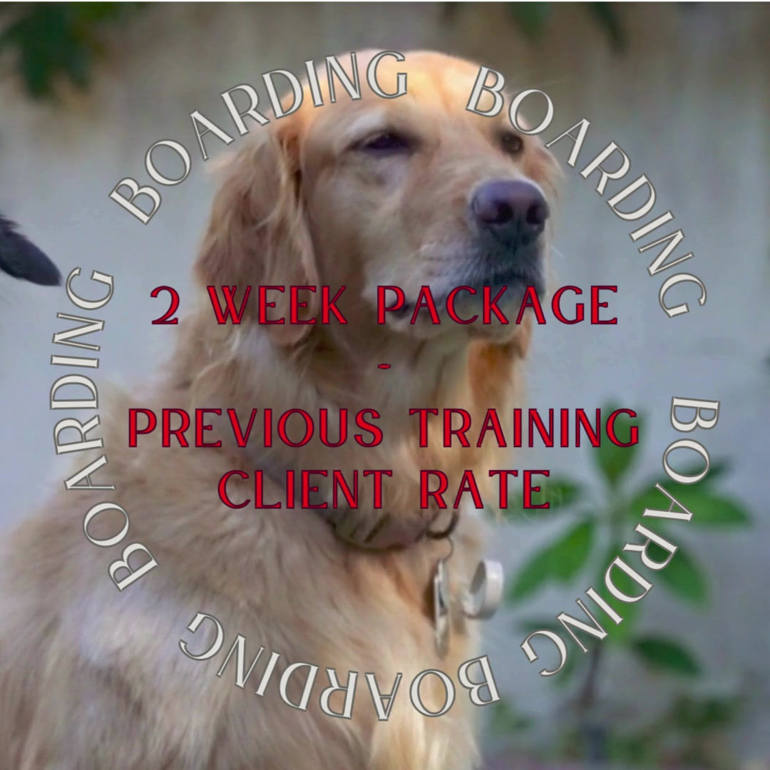 Dog Boarding - 2 Week Package - (Previous Client Rate)