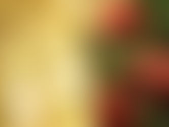 What is under your Christmas tree this year?