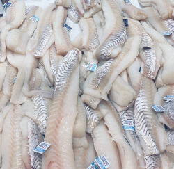 Fischmarkt St.Tropez