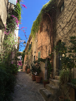 Gasse in St.Tropez