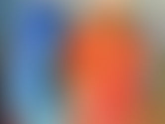 BILD DES MONATS 12/2020