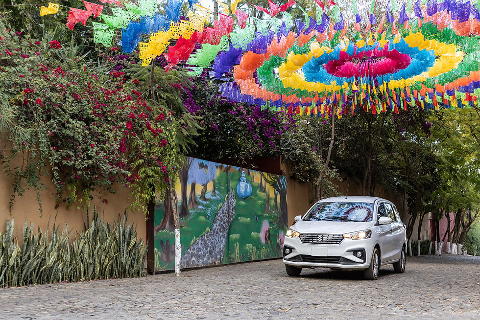 oaxaca-car-rentals-006.jpg