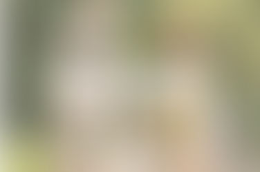 Setting the Foundation: What is Family Legacy?