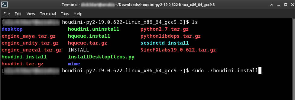 Exectution of the installation program.