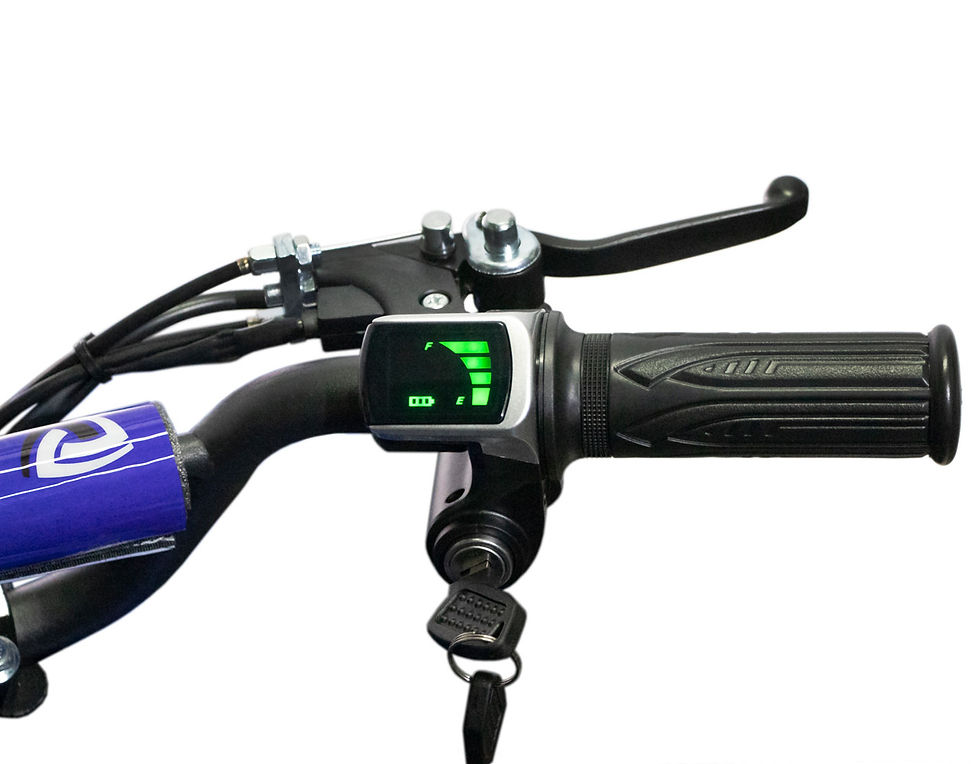 Miniatura: Mini Quad Avenger-T 1000Watt 48V  Cerchi da 6" 12-22-32 Kmh Retromarcia Luci LED
