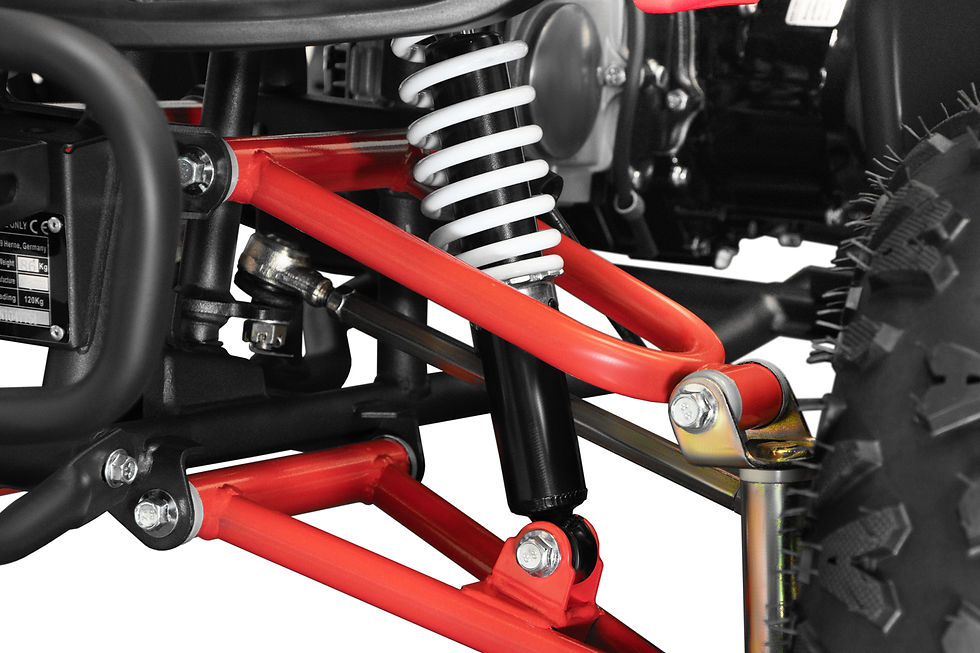 Miniatura: Quad SPEEDY GS S7-A 125cc 4 tempi Cerchi 7" 55Km/h Telecomando e-Starter