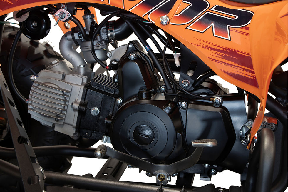 Miniatura: Quad WARRIOR GS S8-A 125cc 4 tempi Cerchi 8" 55Km/h Telecomando e-Starter