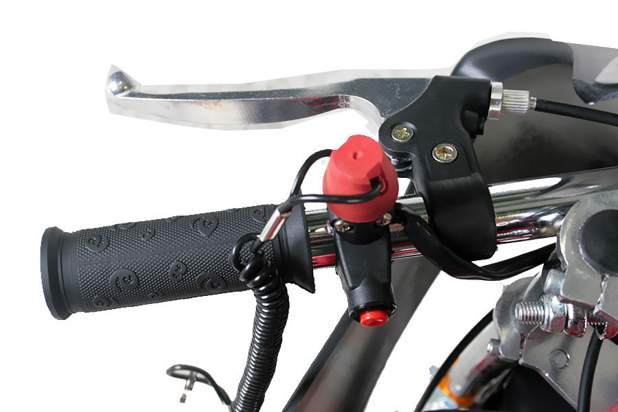 Miniatura: Mini Moto PS50 Tuning 50cc Cerchi da 6.5" 50 Km/h + Carburatore 15