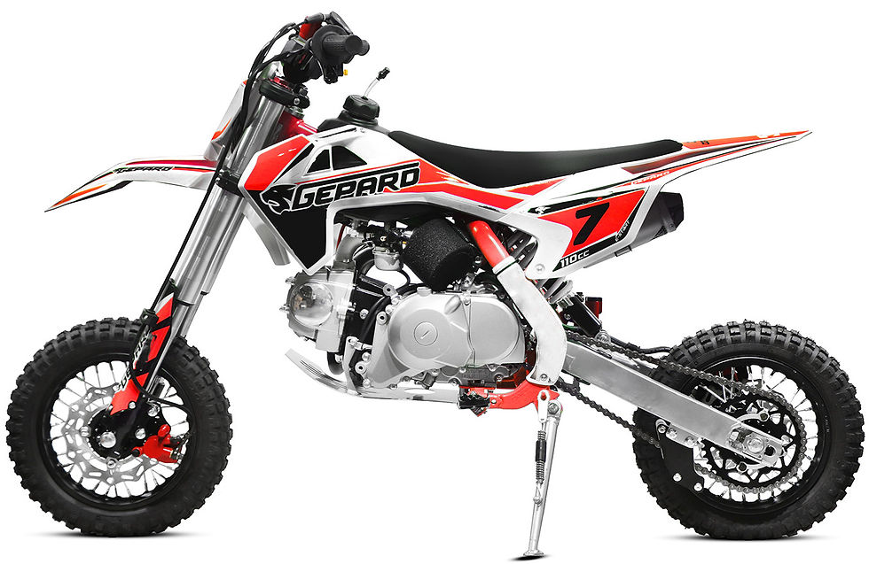 Miniatura: Pit Bike CRX 110cc 4T Monomarcia Cerchi 10" 10" 65Km/h Elec-Start