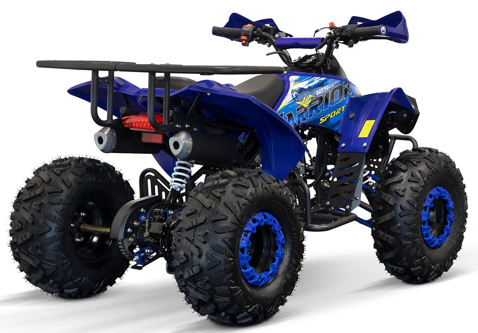 Miniatura: Quad WARRIOR GS RS8-A 125cc 4 tempi Cerchi 8" 55Km/h Telecomando e-Starter