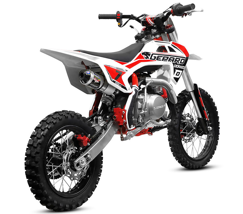 Miniatura: Pit Bike CRX 110cc 4T 4 Marce Semi-Auto Cerchi 14" 12" 70Km/h Elec-Start