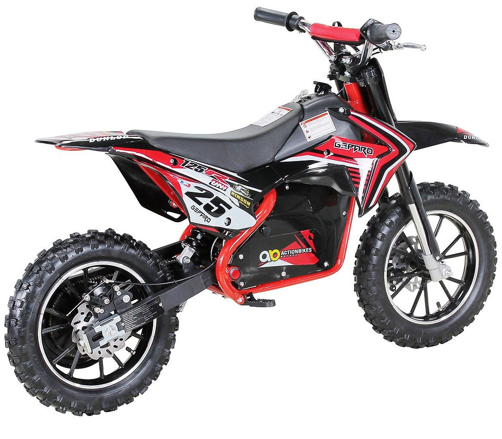 Miniatura: Mini Cross Gepard 500Watt Cerchi da 10" 7-15-25 Km/h