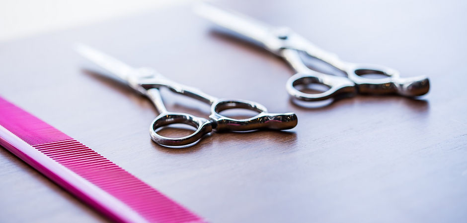 はさみとコーム