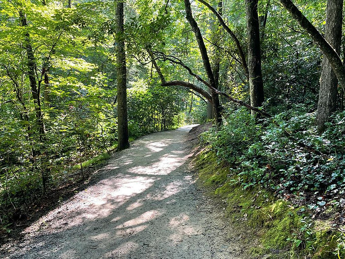 Blue ridge Mountains Country Roads That take Us Home (1).jpeg