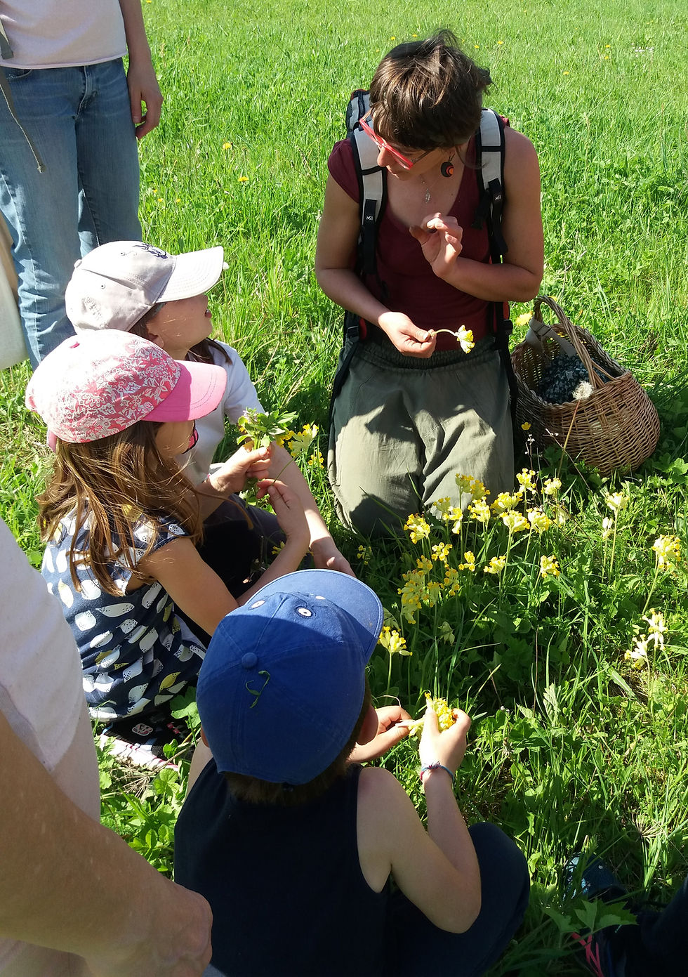 Formation passeur.euse de plantes