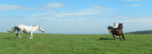 DSCN2294.JPG