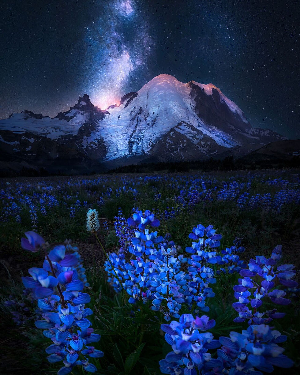 #84 LA REHABILITATION