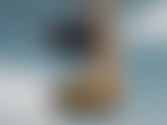 Understanding the Fundamentals: Breaking Down Forces Into Their Components