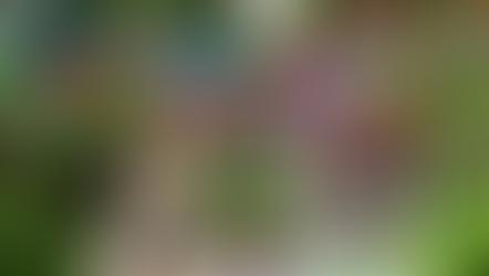 El Plant Fest regresa a Puebla 