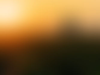 Back lit silhouette of male farmer standing in a field in summer sunset