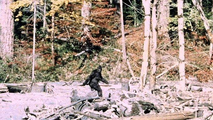 The Giant That Walks Among the Pines