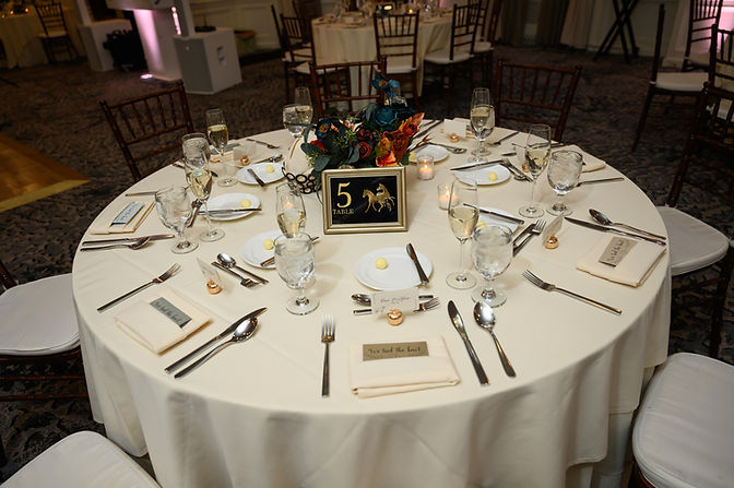 Hotel Viking Wedding Photos