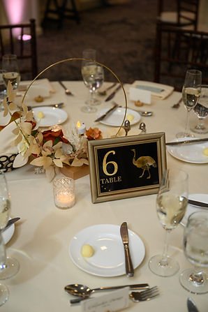 Hotel Viking Wedding Photos