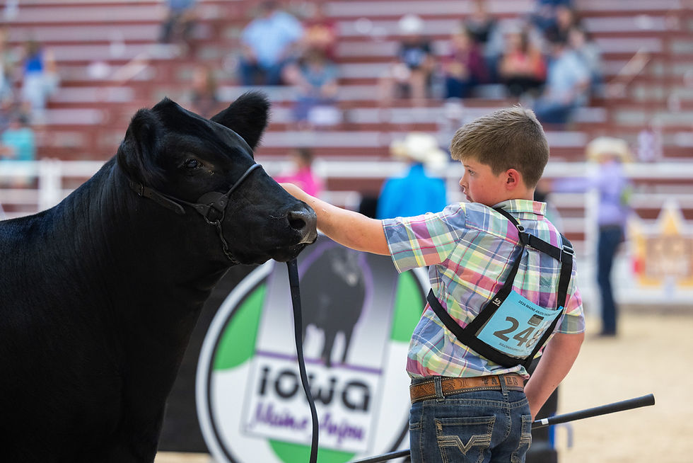 SHOWMANSHIP
