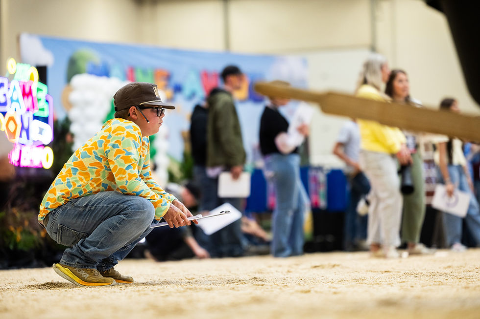 JUDGING CONTEST