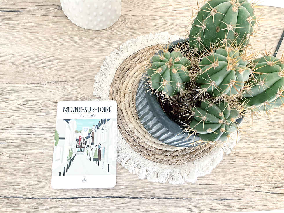 Carte Postale "Meung-sur-Loire, les ruelles"