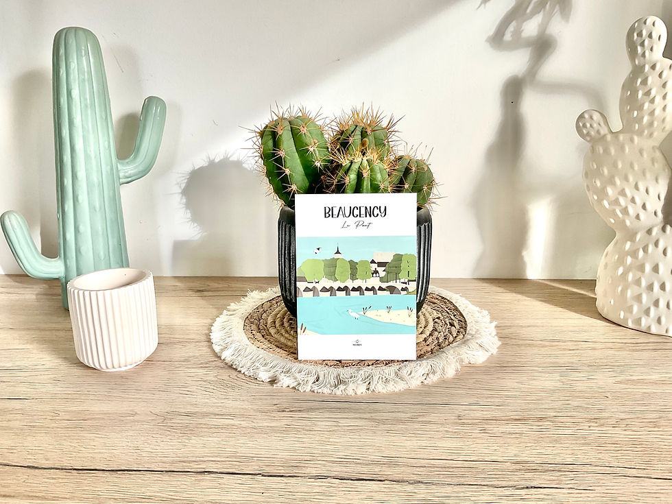 Carte Postale "Beaugency, le Pont"