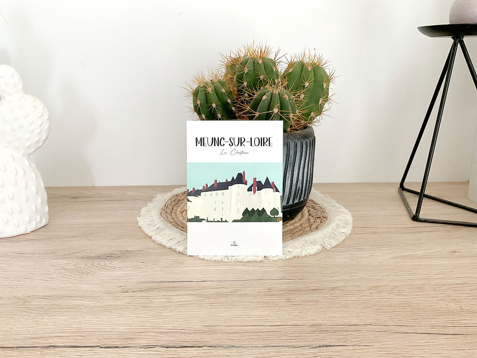 Carte Postale "Meung-sur-Loire, Le château"