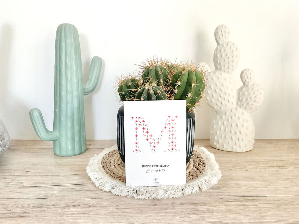 Carte Postale «M d’amour »