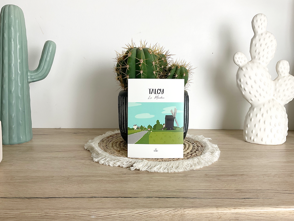 Carte Postale "Talcy, Le Moulin"