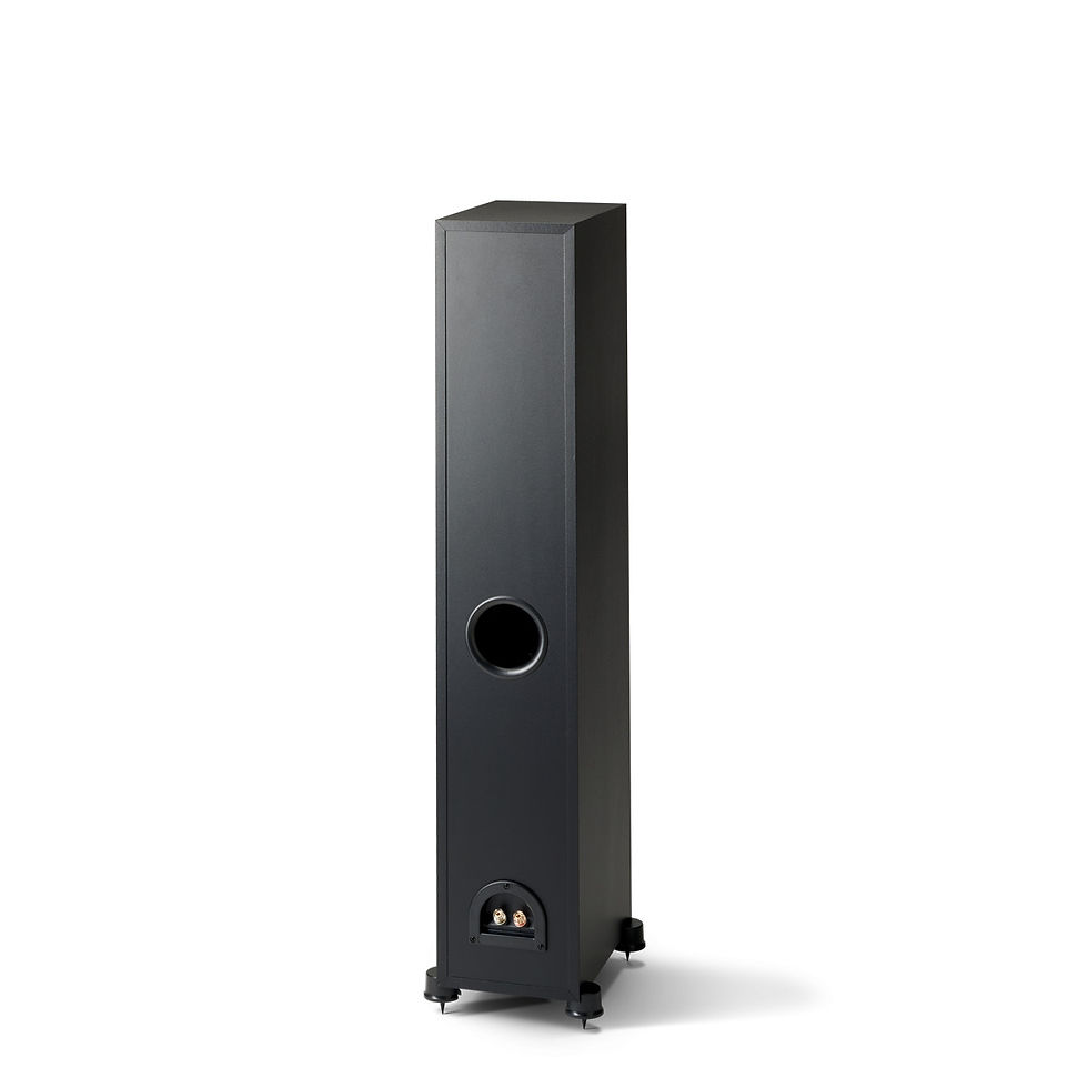 Thumbnail: Paradigm Monitor SE 3000F