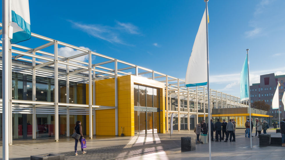 Library with link to Government projects page