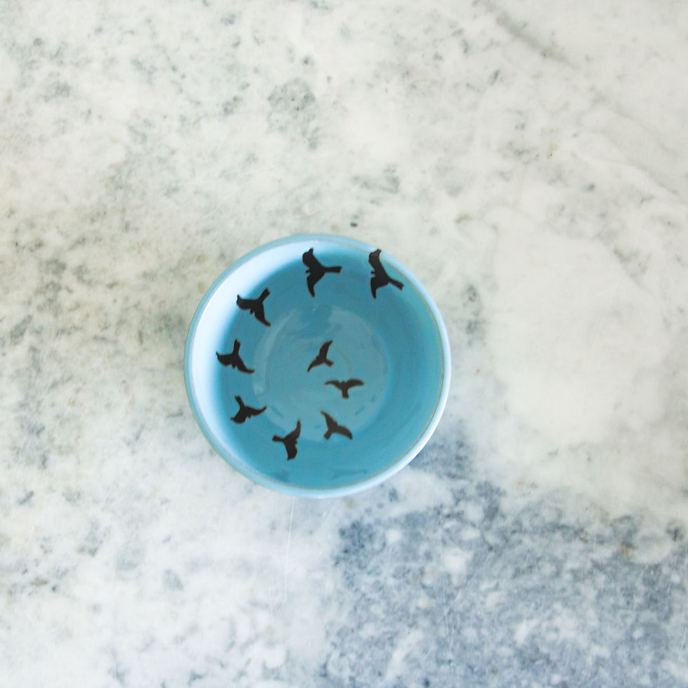 Thumbnail: Tiny Ice Cream Bowl,  Birds in Flight