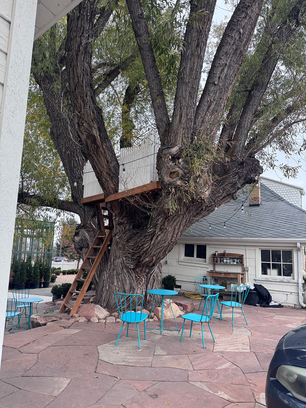 The tree house at PC Nursery
