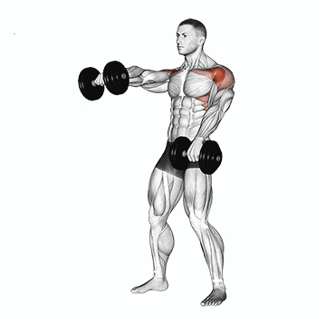 9 Elevação frontal unilateral 3 (1).gif