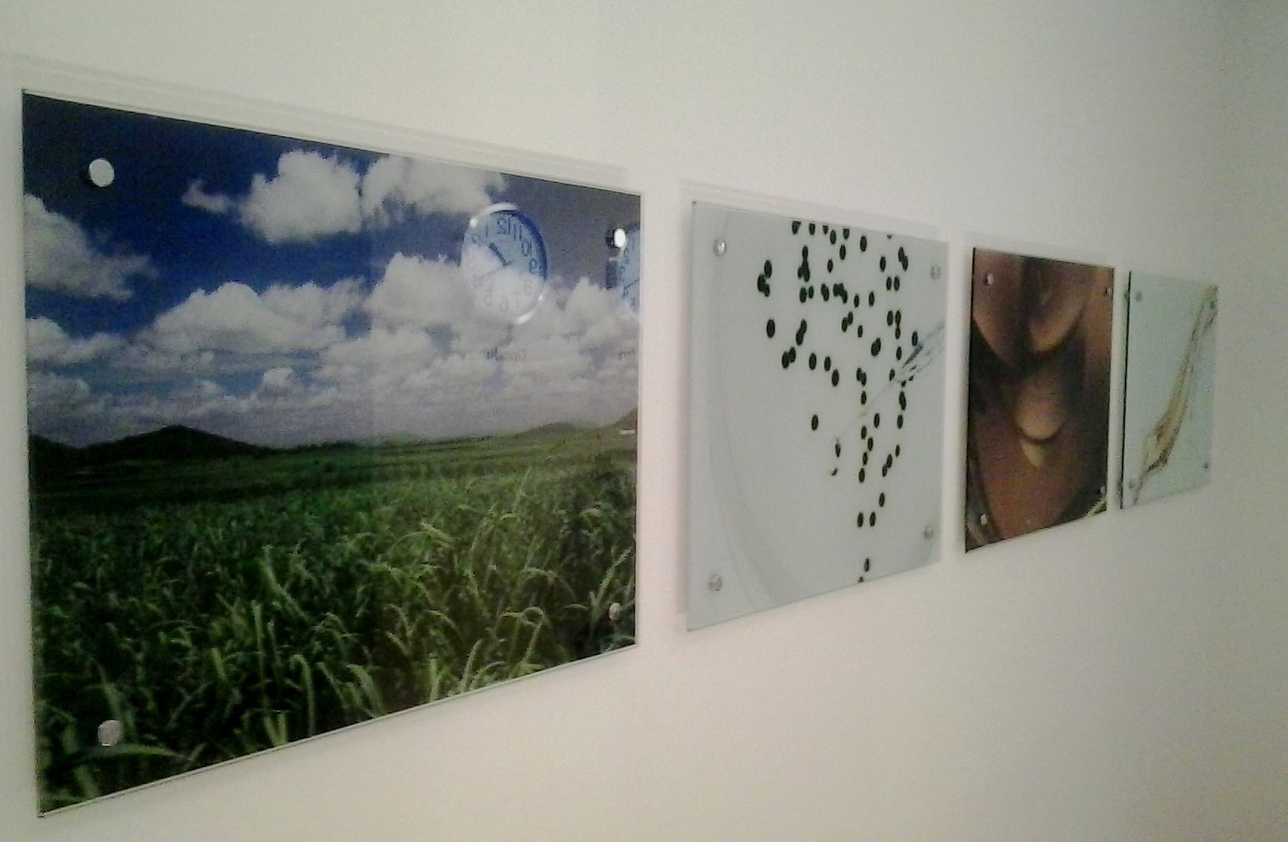 Painel de vidro com fotos | idealexpo