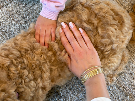5 Ways Your Dog Is Helping Your Mental Health (From a Therapist Who Works With One)